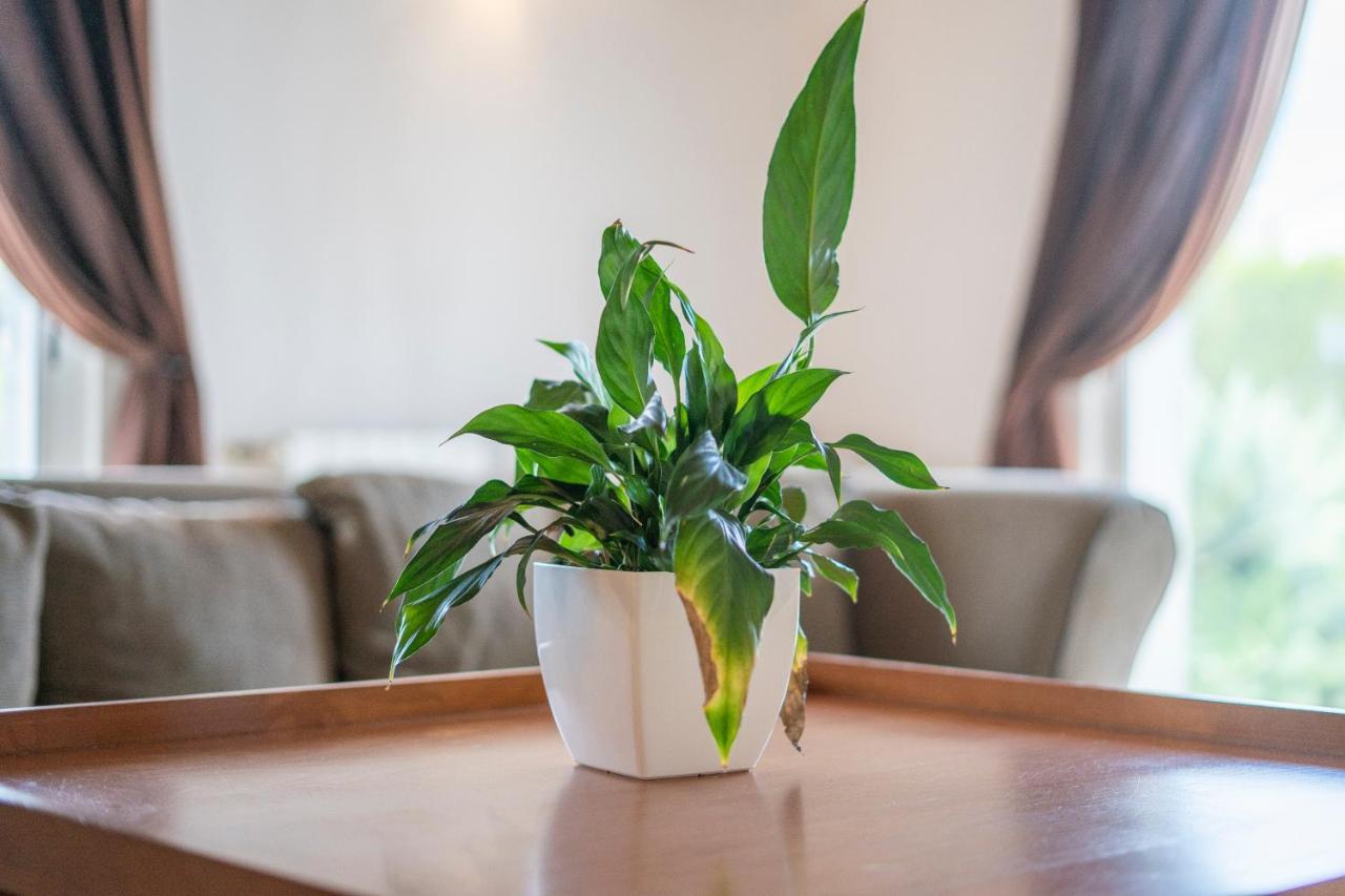 Casa Garrod - Spacious Family Villa Aljezur Ngoại thất bức ảnh